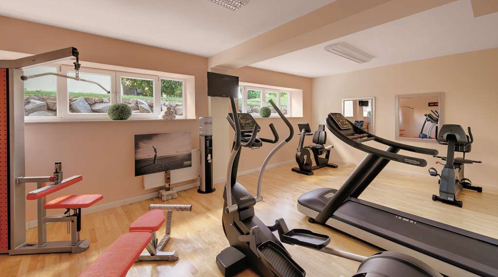 Hotel Villa Medici Bad Schonborn Facilities photo